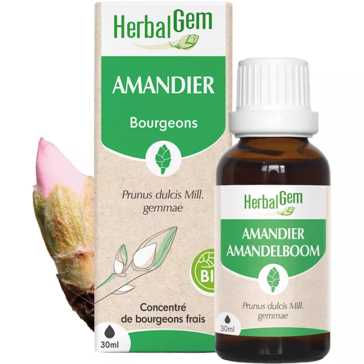 Herbalgem Mandelbaum Muttermazerat Bio 30 ml