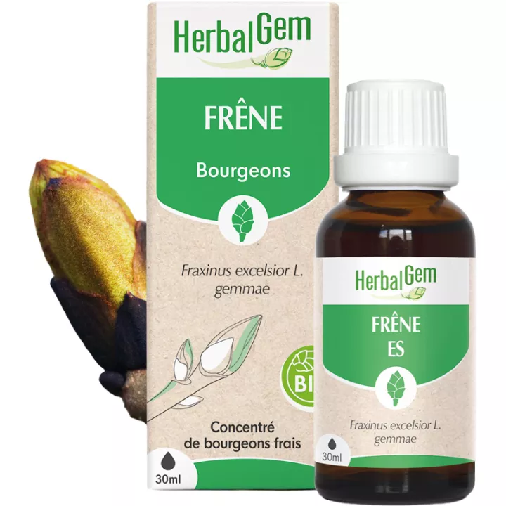 Herbalgem Macerat Mother Ash Bio 30 мл