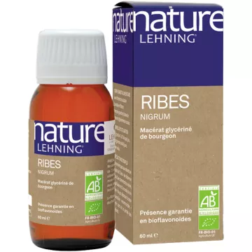 Nature Lehning Ribes Nigrum Glycerine Macerate 60 ml