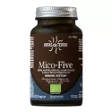 Hifas da Terra Mico-Five Synergie 5 Champignons 70 Gélules