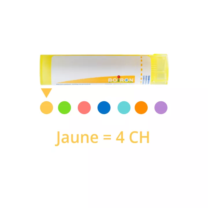 Dermatophagoides farinae 15CH 9CH gránulos Tube homéopathie Boiron