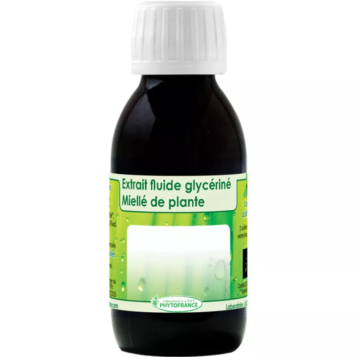 Organic Chaste tree EFG 125ml PhytoFrance