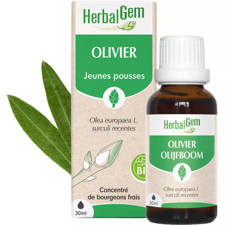 Herbalgem Macerat Madre Oliva Bio 30 ml