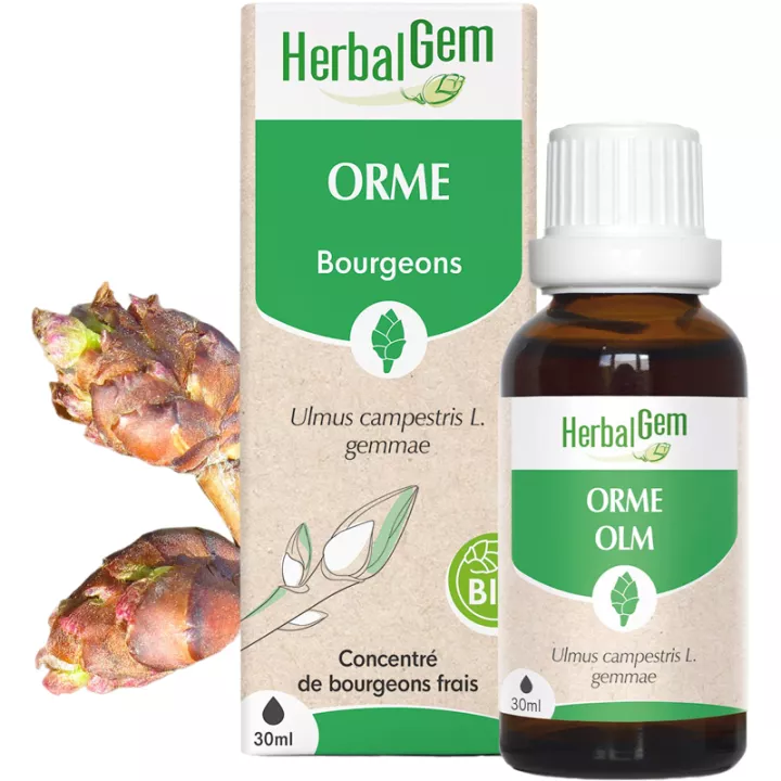 Herbalgem Macerat Mãe Olmo Orgânico 30 ml