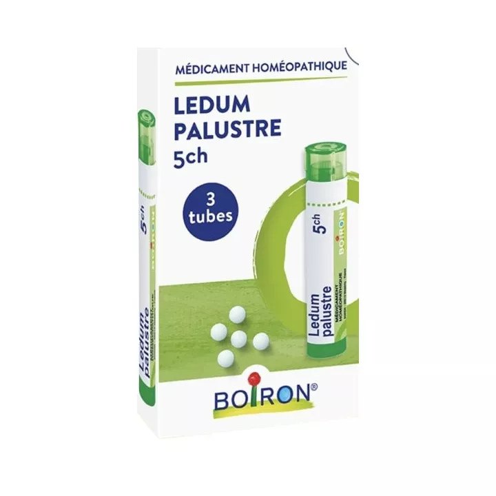 Ledum Palustre 5CH, 7CH, 9CH, 15CH, 30CH Granulat Boiron