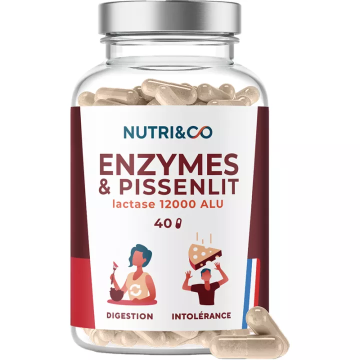 Nutri&Co Enzymen & Paardebloem 40 Capsules