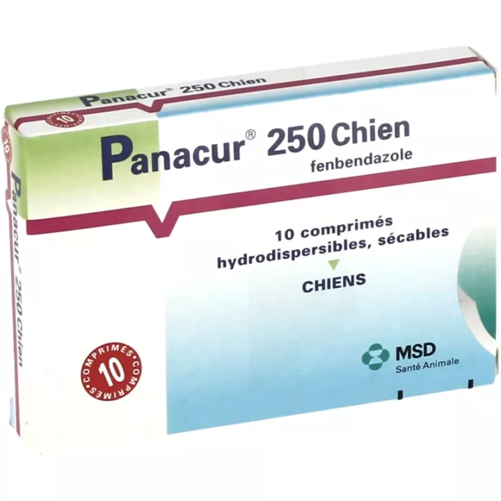 Panacur 250mg Vermifuge Large Spectre pour Chien