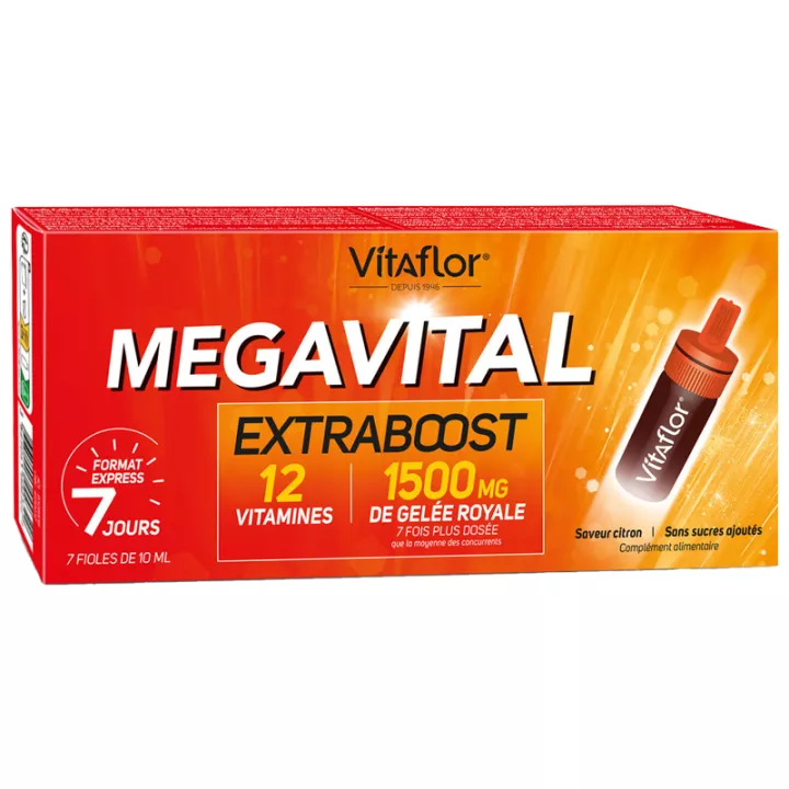 Vitaflor MegaVital Schachtel mit 7 Fläschchen