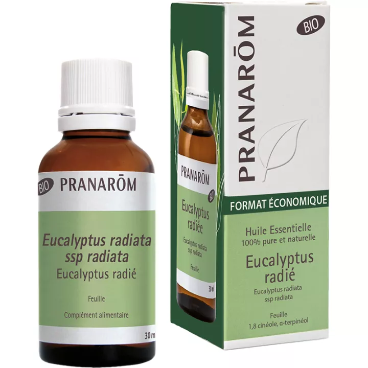 Huile essentielle Bio d'Eucalyptus radié Pranarom