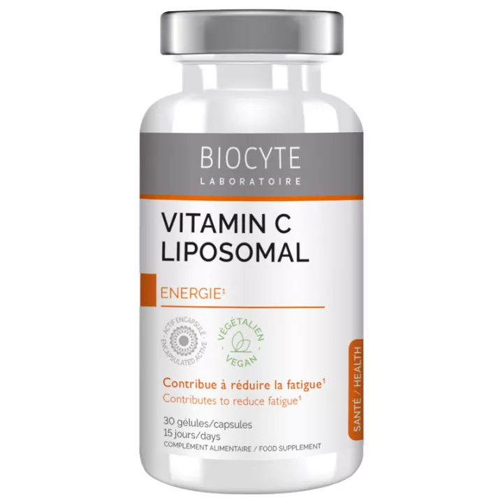 Langlebigkeit der Biozyten Liposomales Vitamin C.