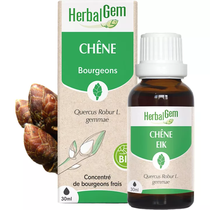 Herbalgem Muttermazerat Eiche Bio 30 ml