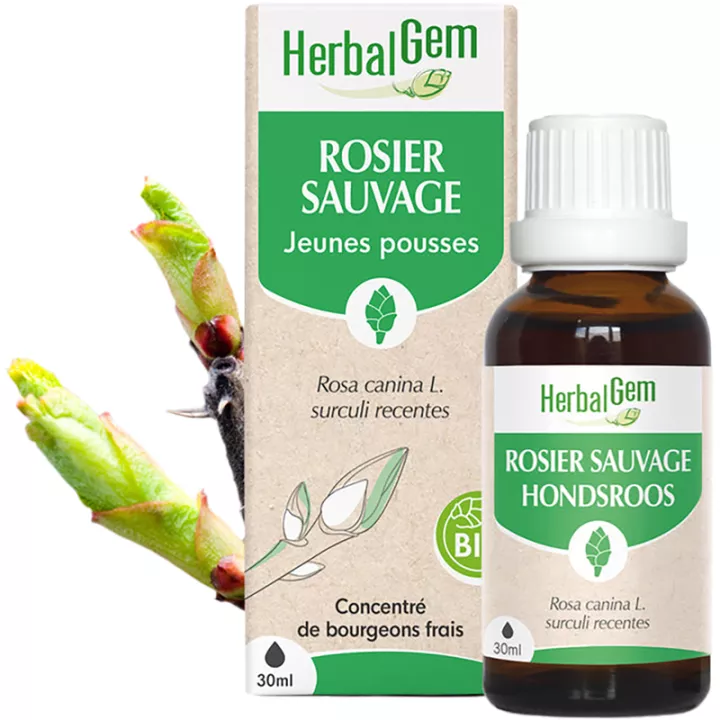 Herbalgem Macerat Mère Rosier Sauvage Bio 30 ml