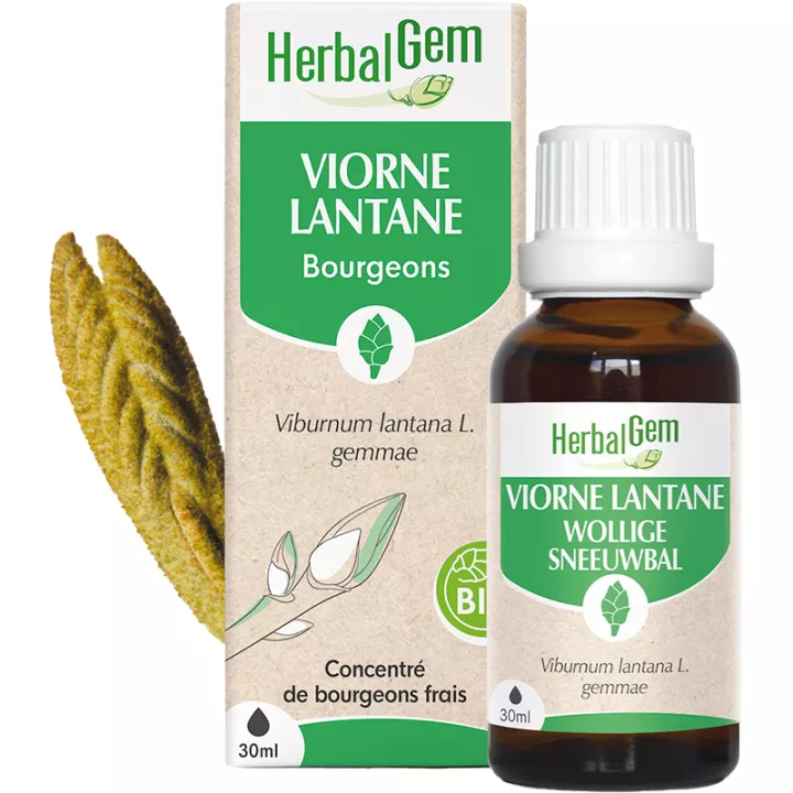 Herbalgem Macerat Mère Viorne Bio 30 ml