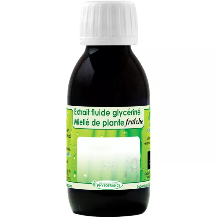 Organic Horse Chestnut EFG 125ml PhytoFrance