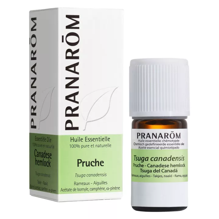 Pranarom Hemlock Essential Oil 5ml 