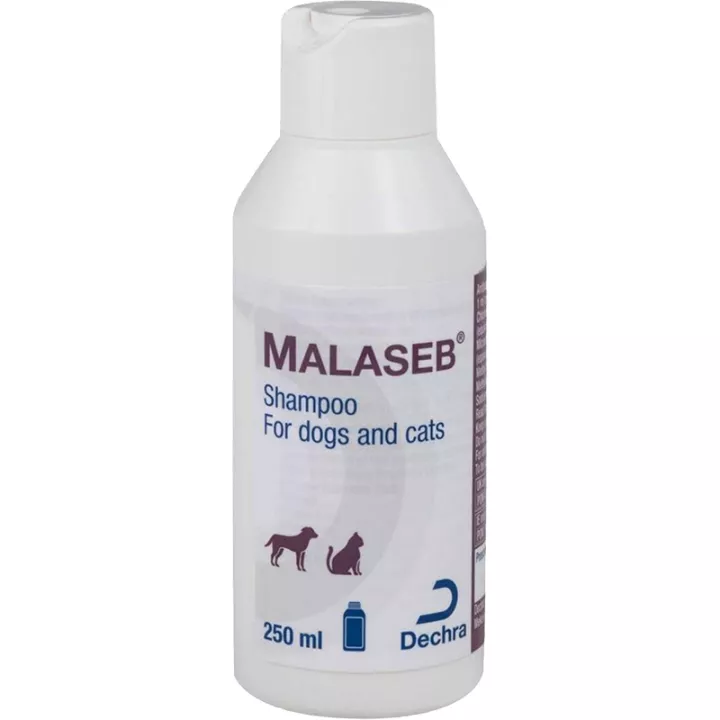 Malaseb for Dogs and Cats Shampoo 250 ml