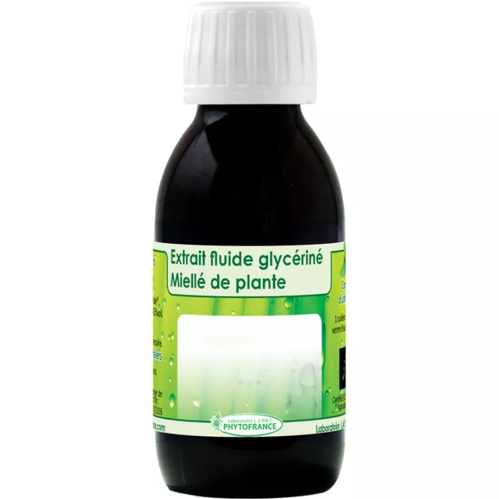 Fucus Vesiculosus Zeewier Organische Glycerine Vloeibaar Extract PhytoFrance