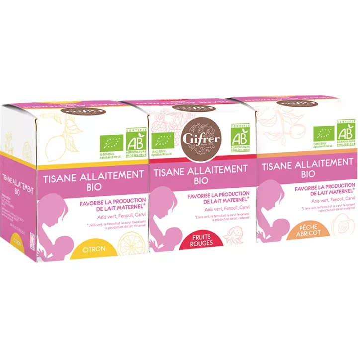 Gifrer Tisane Allaitement Bio Sachets d'infusion