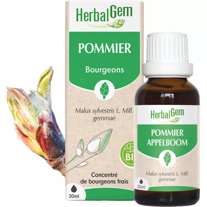 Herbalgem Macerat Mère Pommier Bio 30 ml