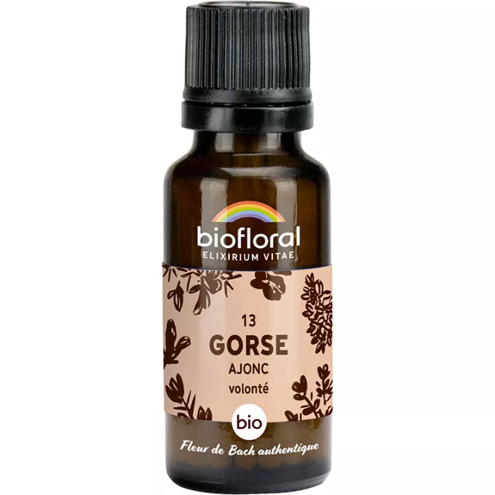 Biofloral Bach bloesemremedies 13 Gorse alcoholvrije korrels