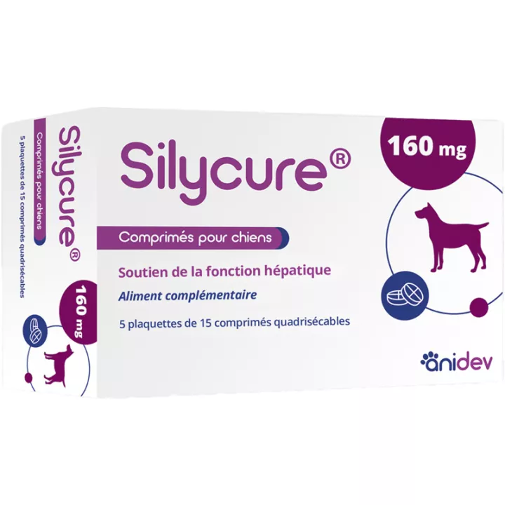 Silycure Função Hepática Cão & Gato comprimidos