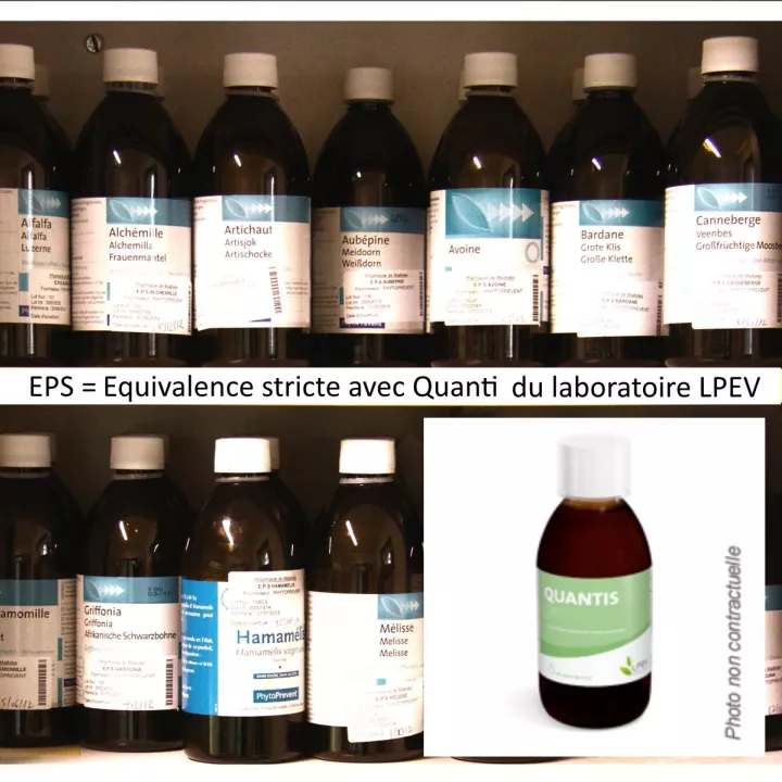 Pileje EPS Carciofo + Curcuma + Ravanello Nero 200ml