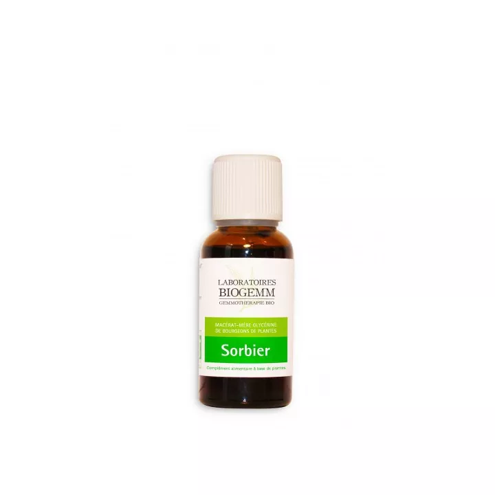 Macerado de botões de sorveira 30 ml Gemmotherapy Biogemm