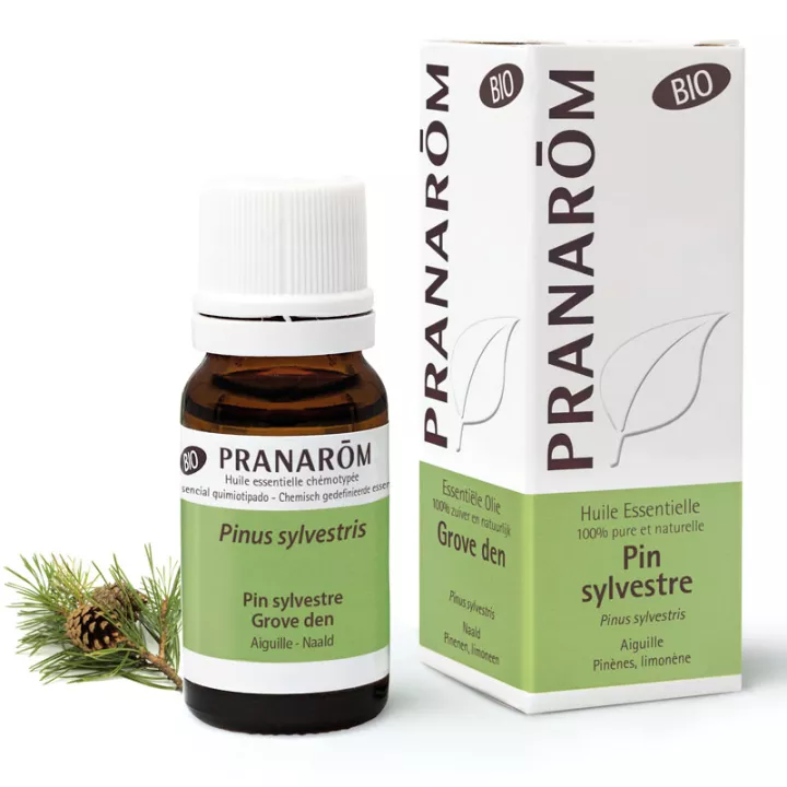 Organic Scots Pine essential oil PRANAROM 10 ml