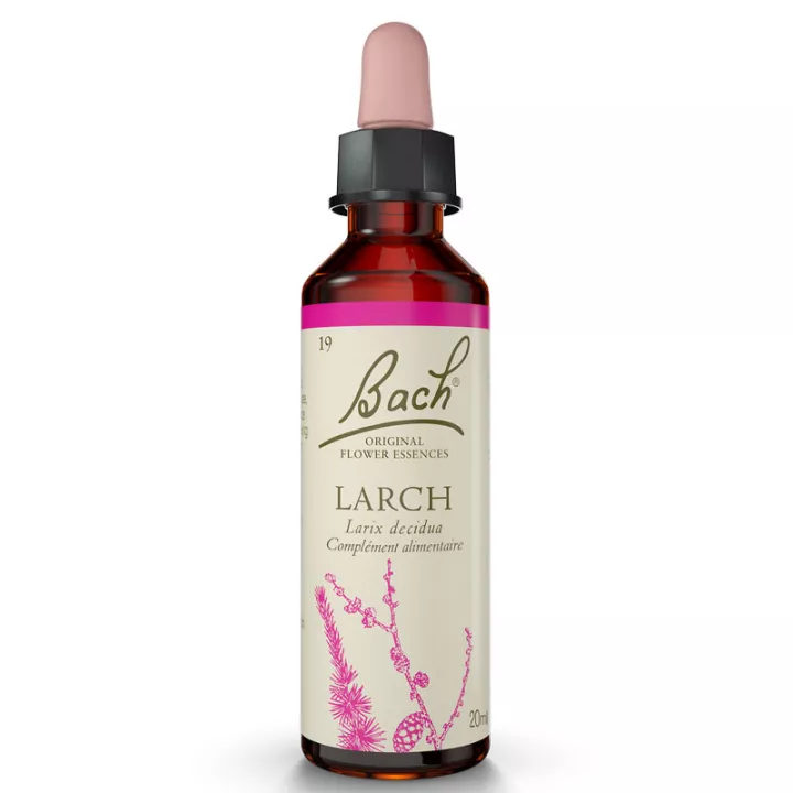 Florais de Bach Larch 20ml Original LARCH