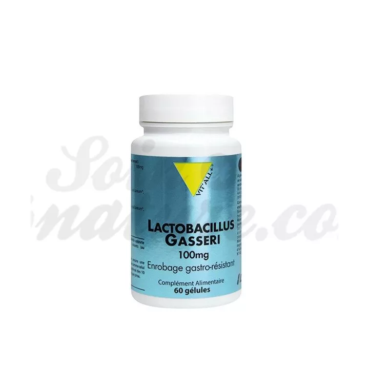 Lactobacillus Gasseri VITALL+ Probiótico Adelgazante 60 Cápsulas