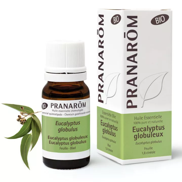 Óleo essencial de Eucalyptus globulus orgânico PRANAROM 10ml