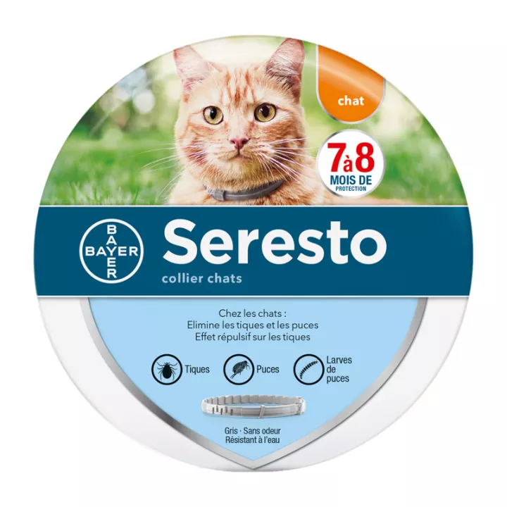 Seresto chat Collier anti-puces Bayer