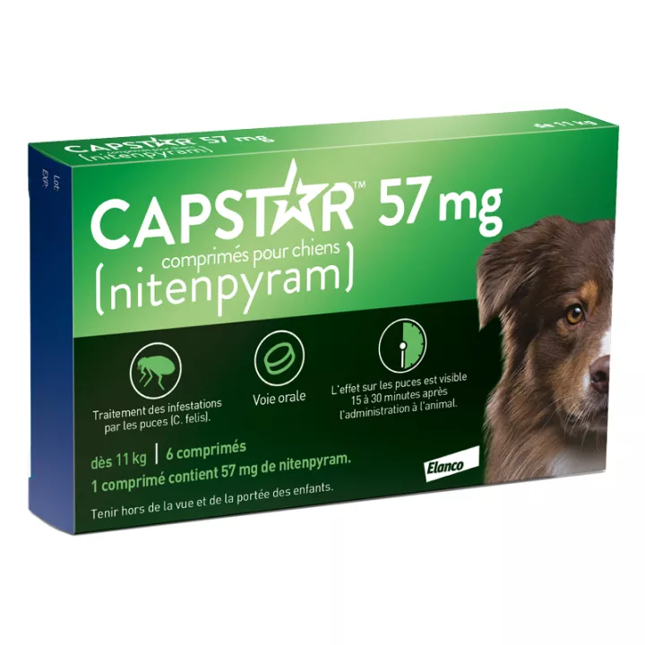 Capstar Grand Chien 57 mg 6 Comprimés anti-puces