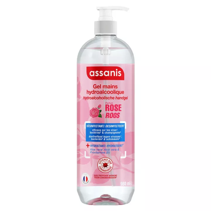 Assanis Family Antibacterial Gel Hand 980ml Large Format