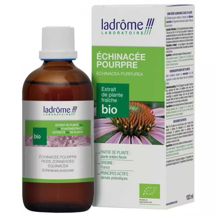 Ladrôme Extratos Orgânicos de Plantas Frescas Roxo Echinacea