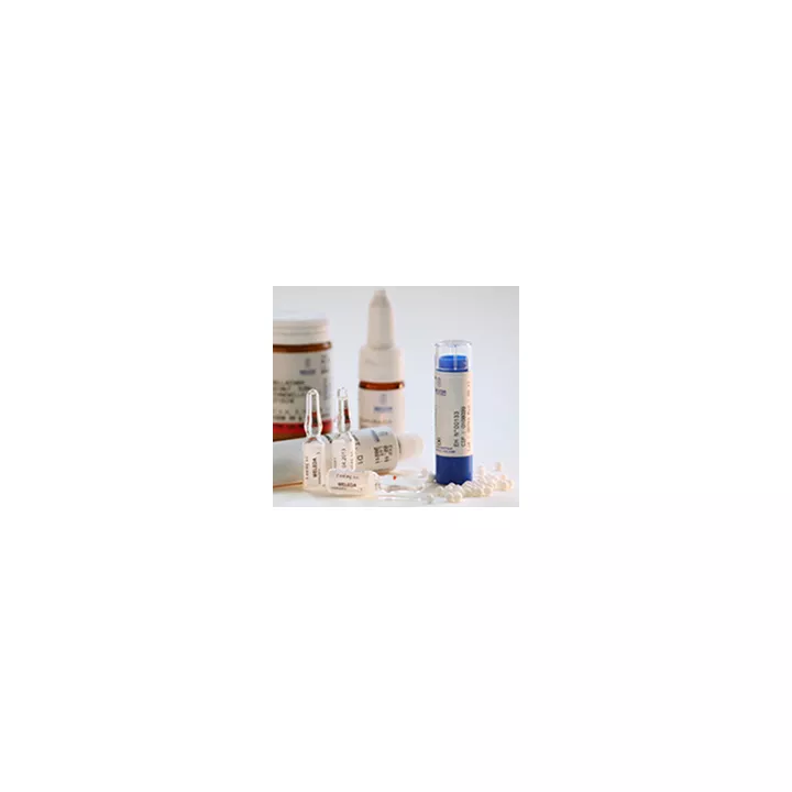 Homeopathic preparation for trituration Boiron