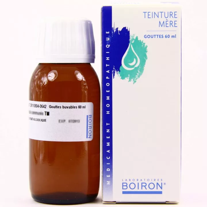 CHRYSANTHELLUM AMERICANUM 125 ml tincture drops homeopathy Boiron