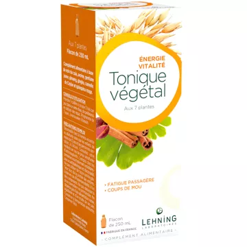 Lehning Vegetarisches Tonikum Energie Vitalität 250 ml