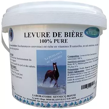 Hefe Bier Gut Pulver 1kg