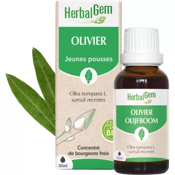 Herbalgem Muttermazerat Olivenbaum Bio 30 ml