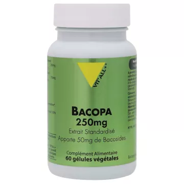 Vitall+ Bacopa Monnieri 250 mg 60 gélules végétales
