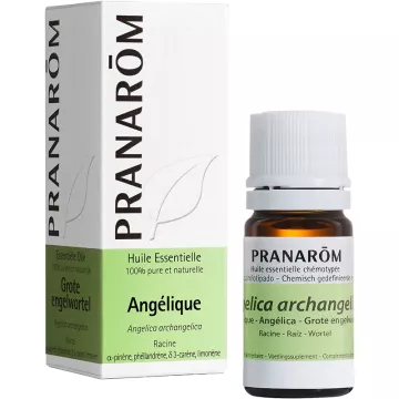 Pranarom Huile Essentielle d'Angélique 5 ml