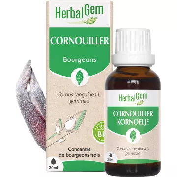 Herbalgem Macerat Mère Cornouiller Bio 30 ml