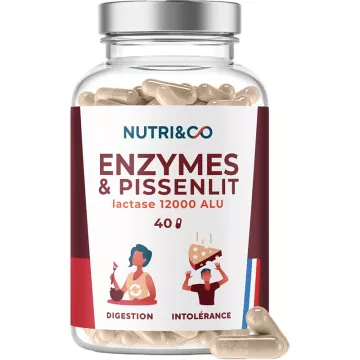 Nutri&Co Les Enzymes & Pissenlit 40 Gélules