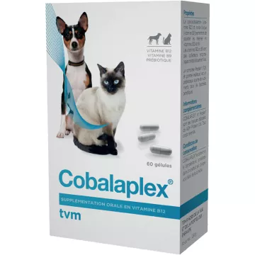 Cobalaplex Vitamine B9 B12 Hund & Katze 60 Kapseln