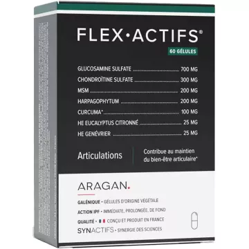 Synactifs Flexactifs Articulation 60 Kapseln