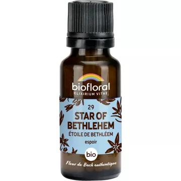 Biofloral Bach Flower Remedies 29 Star Of Bethlehem Alcohol Free Granules