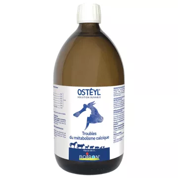 Osteyl GA Metabolisme Calcique Solução Boiron 1 L