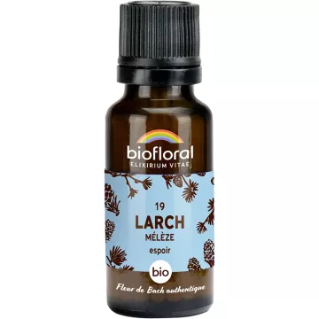 Biofloral Bach bloesemremedies 19 Lariks Alcoholvrije korrels