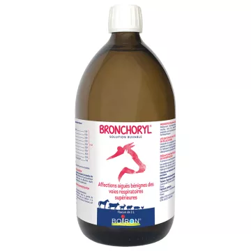 Bronchoryl PVB Respiratoire GA Boiron 1 liter